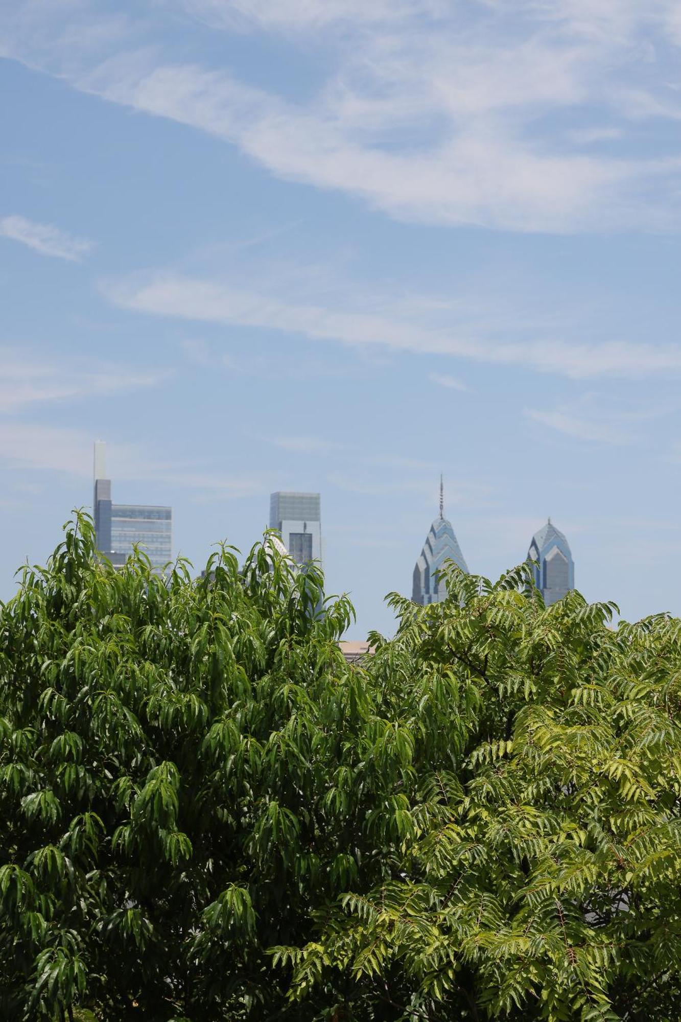Peaceful Zen Getaway In The City Filadelfie Exteriér fotografie